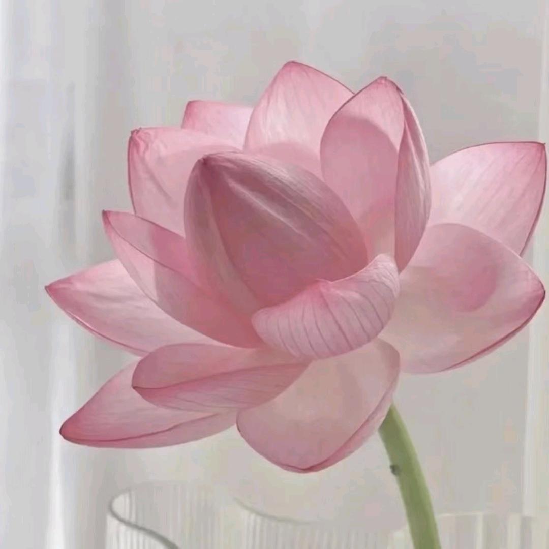 菏泽金财企业管理服务有限公司