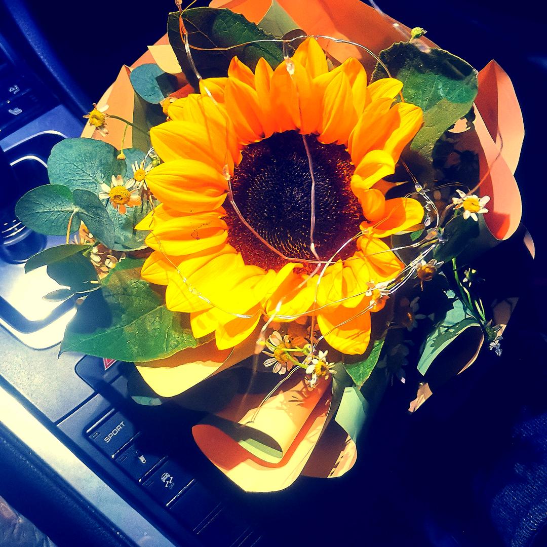 及̶時̶行̶樂̶