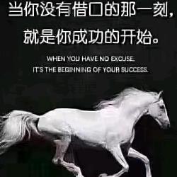 完美人生