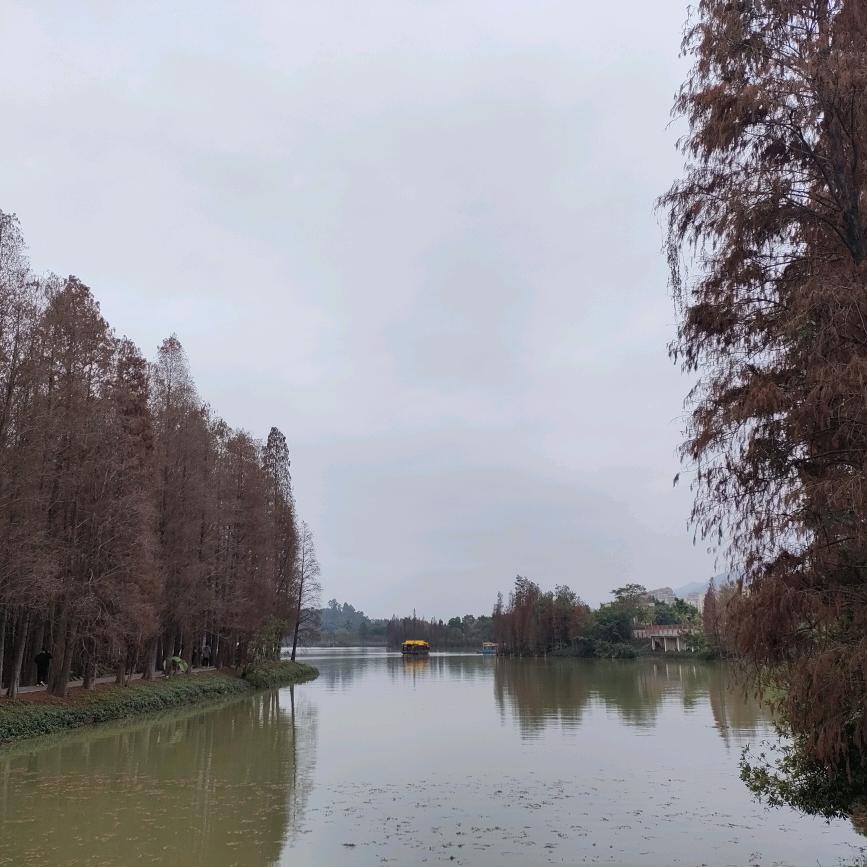 广东华哥野钓