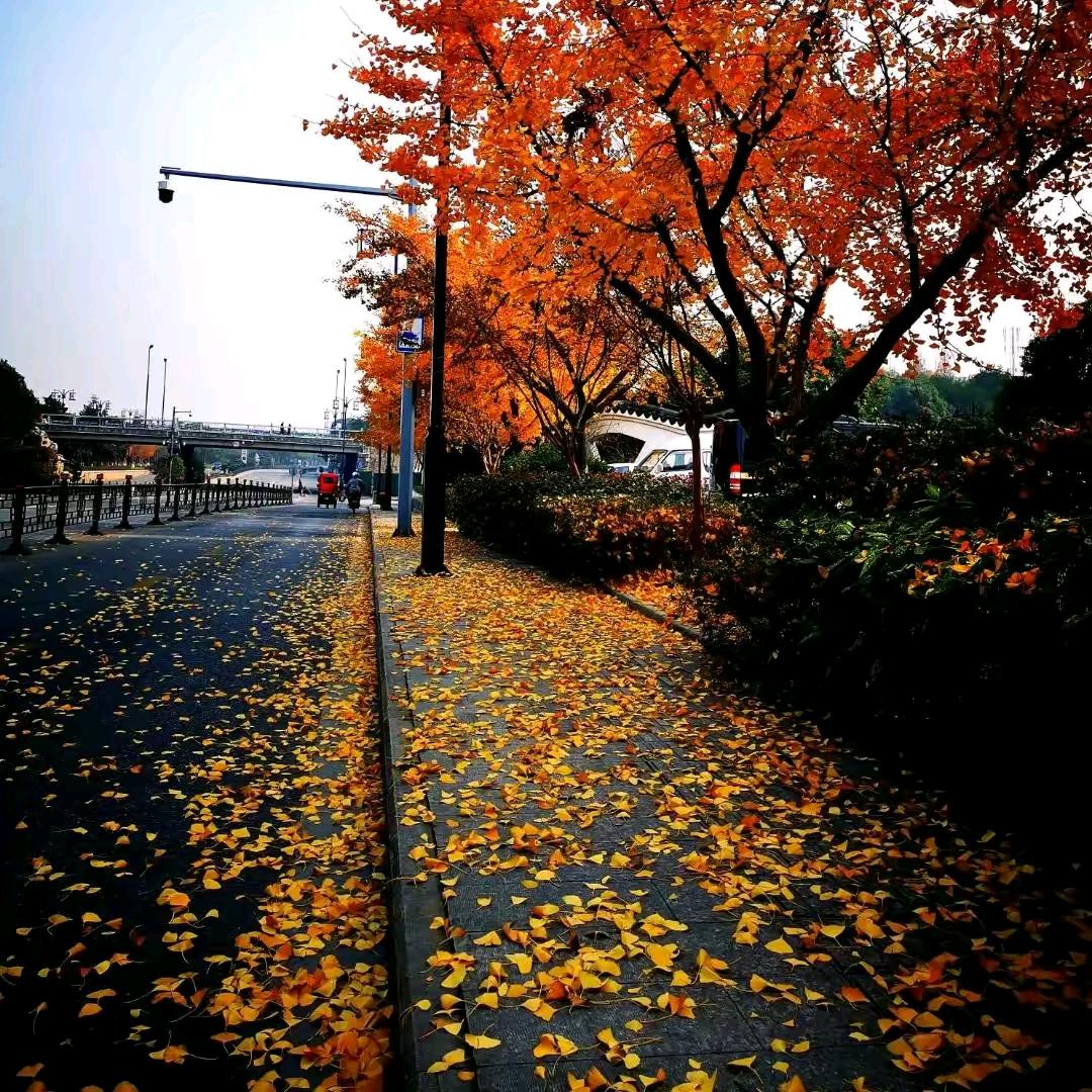 我的世界你来过🐉🌹