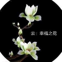 傲雪寒梅独自常开: