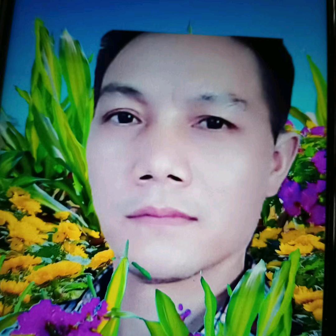笑着活下去，木，易