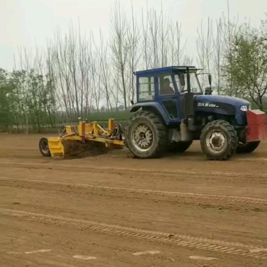 刘成飞