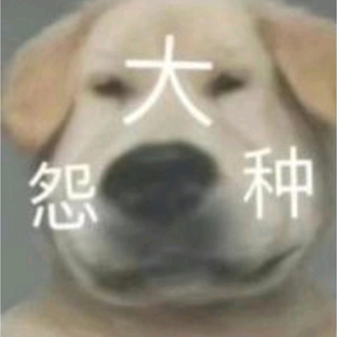 大冤种