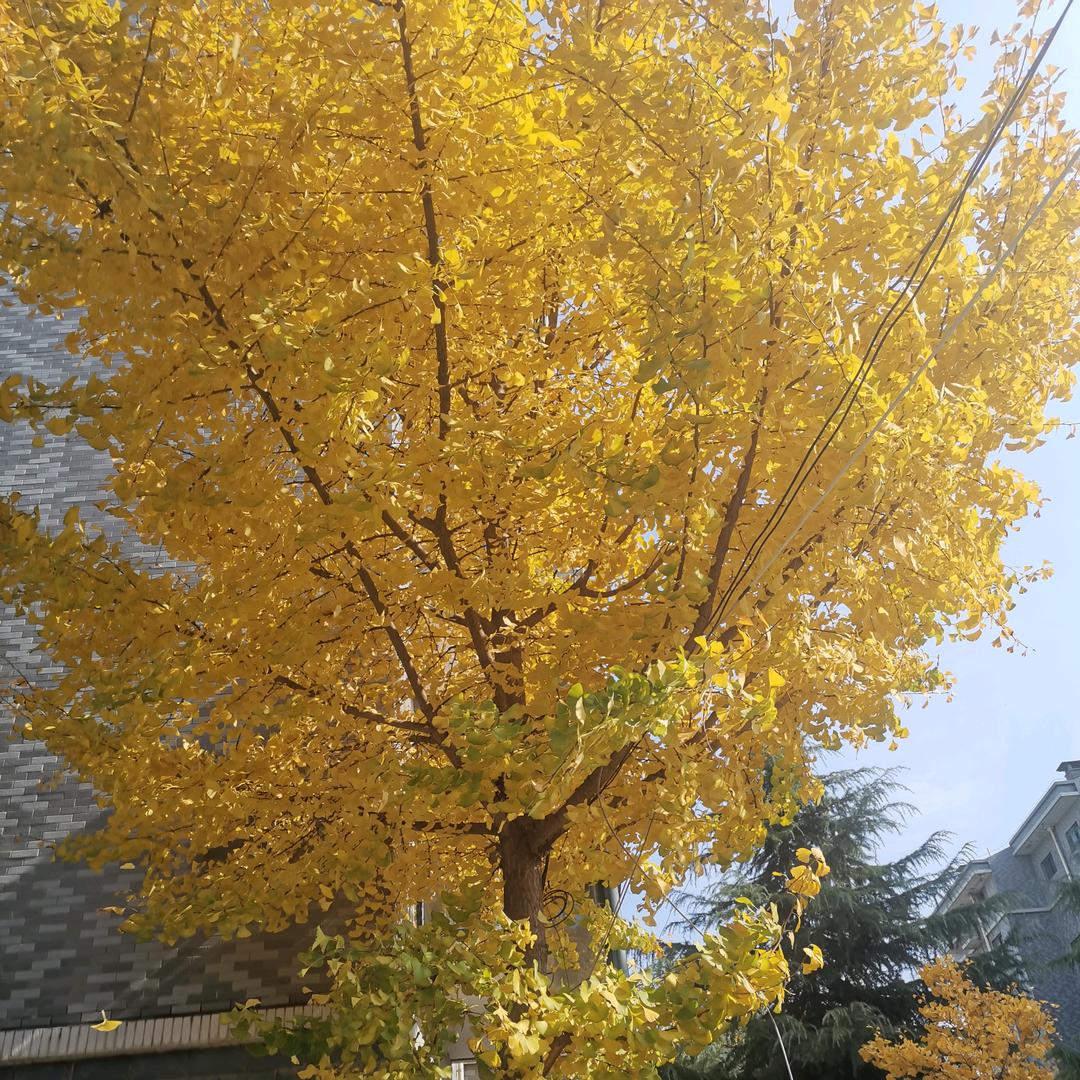 🌈🌈然酱子🌈🌈