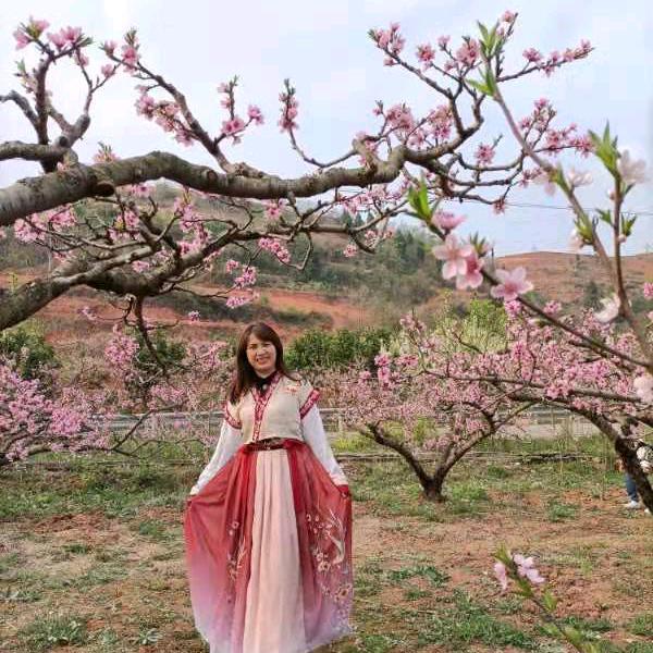 苹果