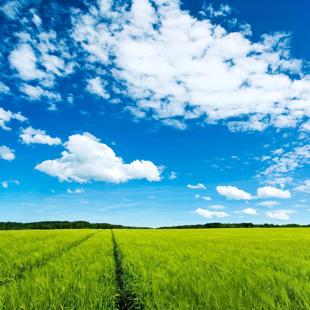 农村大姨幸福生活