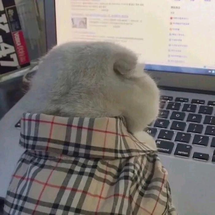 可乐不加冰♡