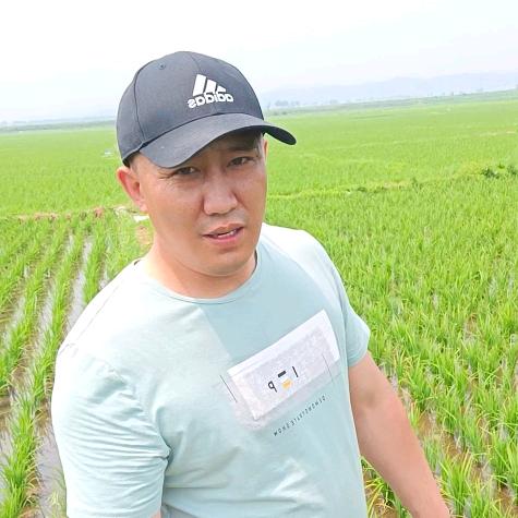 凤河村落五常大米