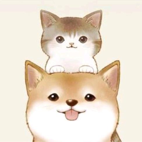 槐荫区若隐若服装店