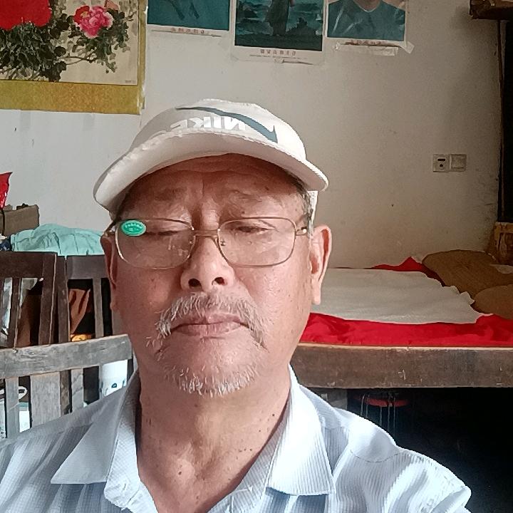 陈家老爷大号