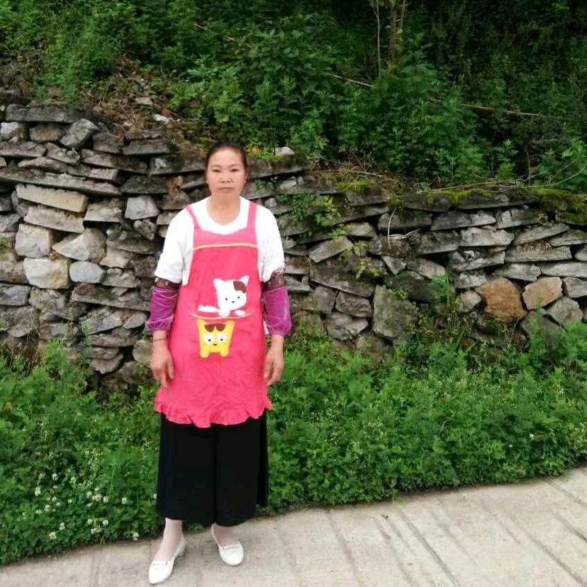 一生只为遇见你