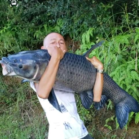 一目钓青鱼