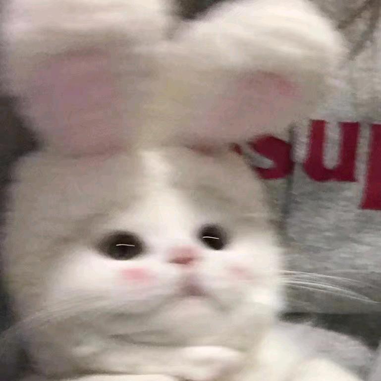 tsuki-