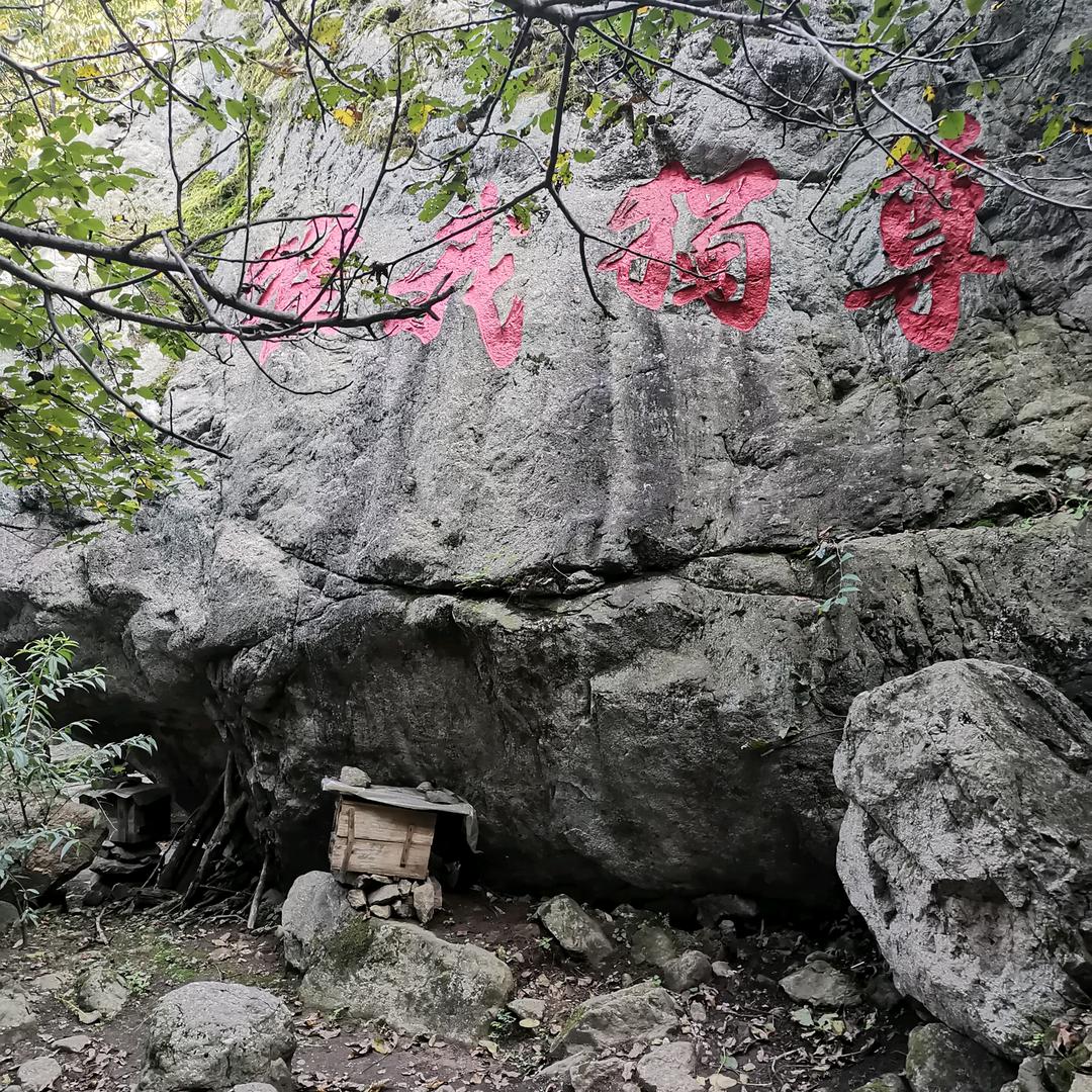 卖羊肉的小哥哥（互关）