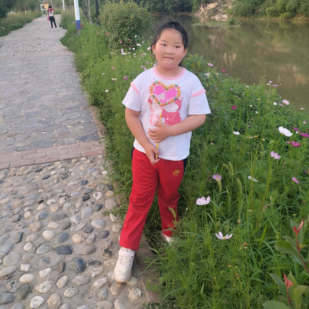 @枯叶蝶