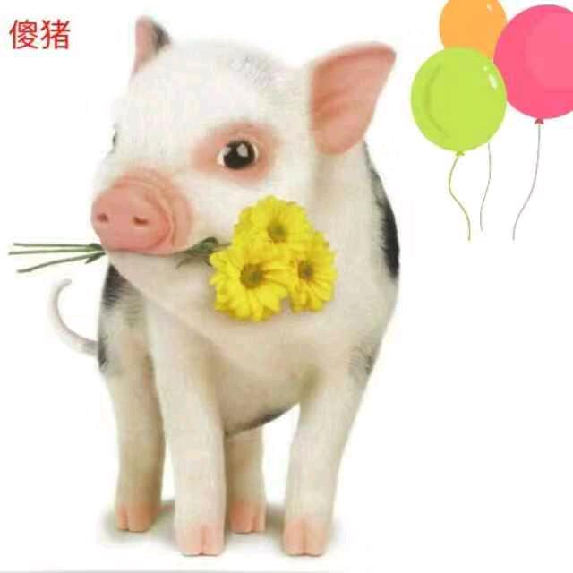 金玉满唐