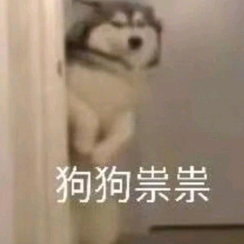 人生理想猫狗双全(戒谷版)