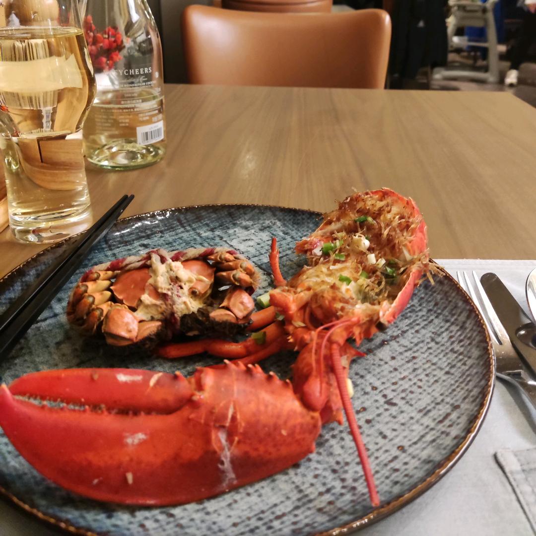 专升本英语（强尼英语）