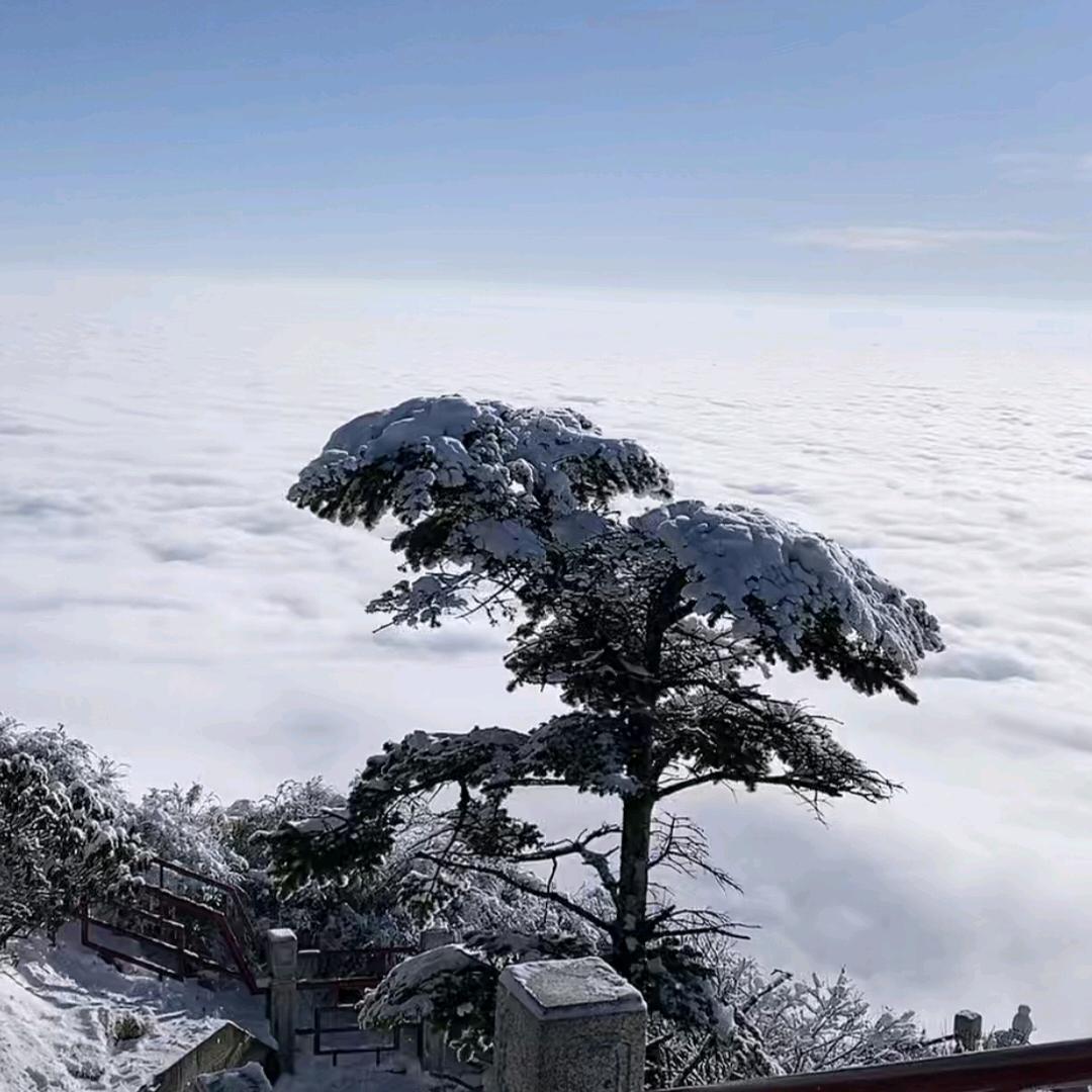 二十四小时