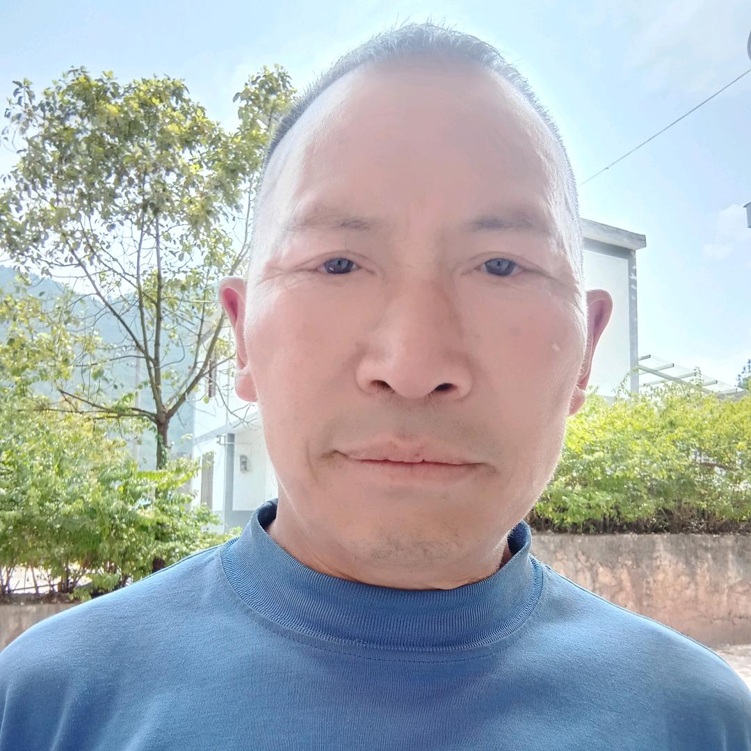 張天伦