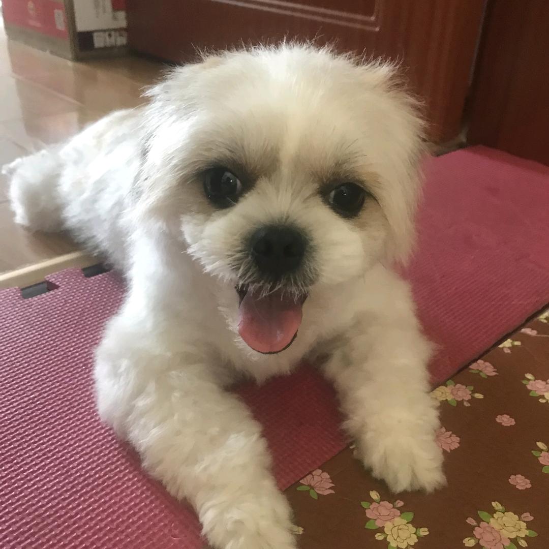 重情之人