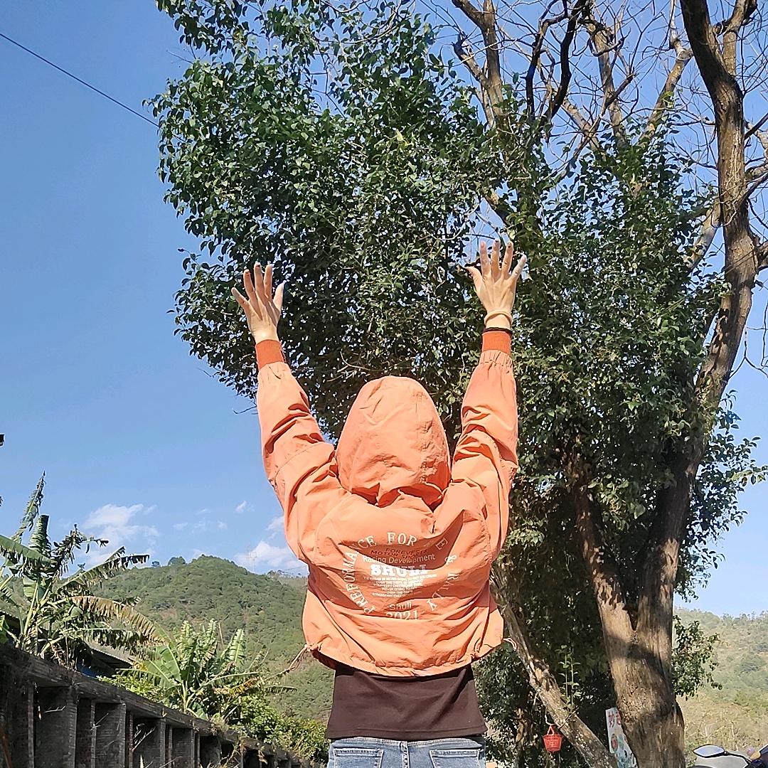 梅超凤