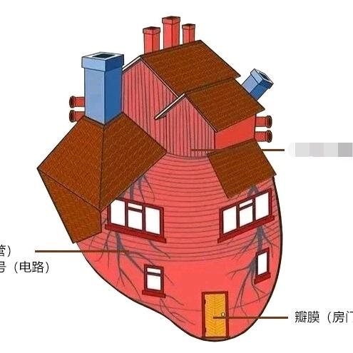 小超人吖-超声知识搬运工