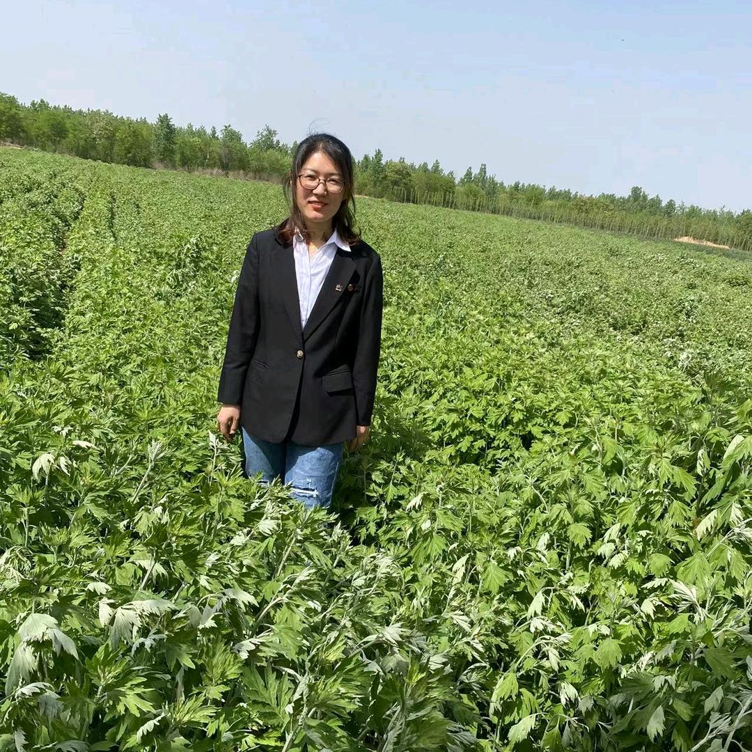 亦辰有个艾工坊