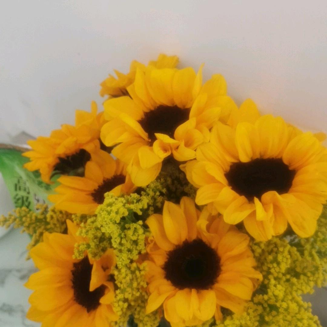 无为则无所不为