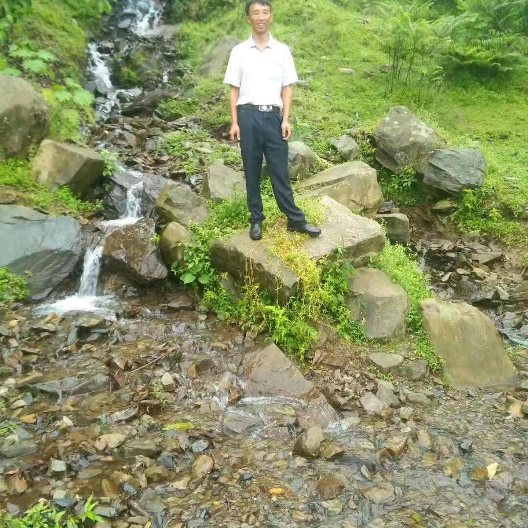 希望时光到流，