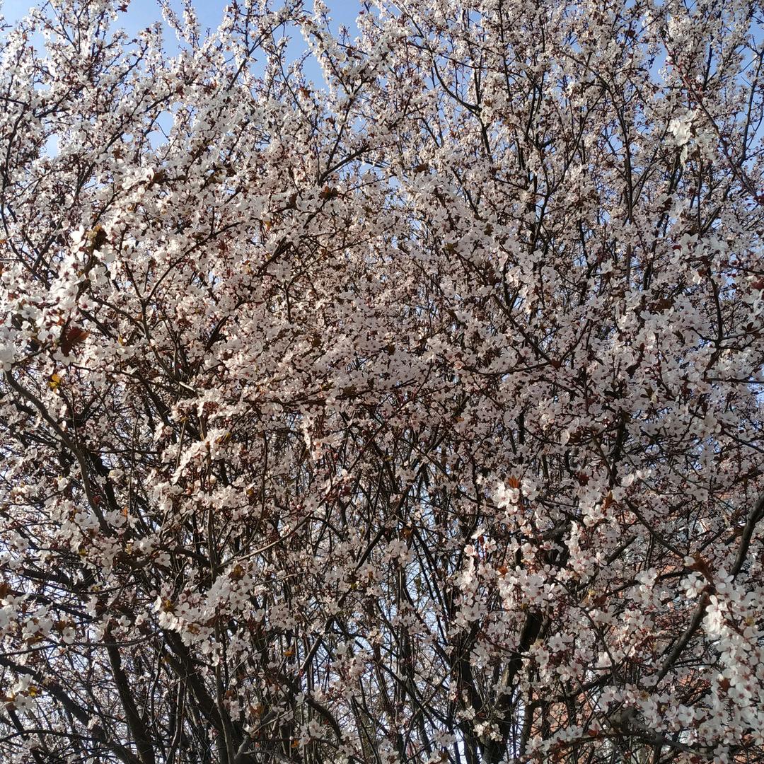 五孩宝妈（日常）