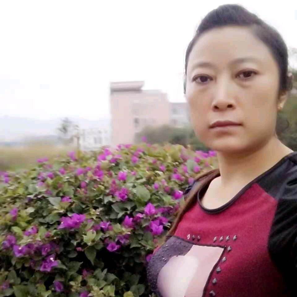 向日葵《拒绝连赞》🌻🌻🌻