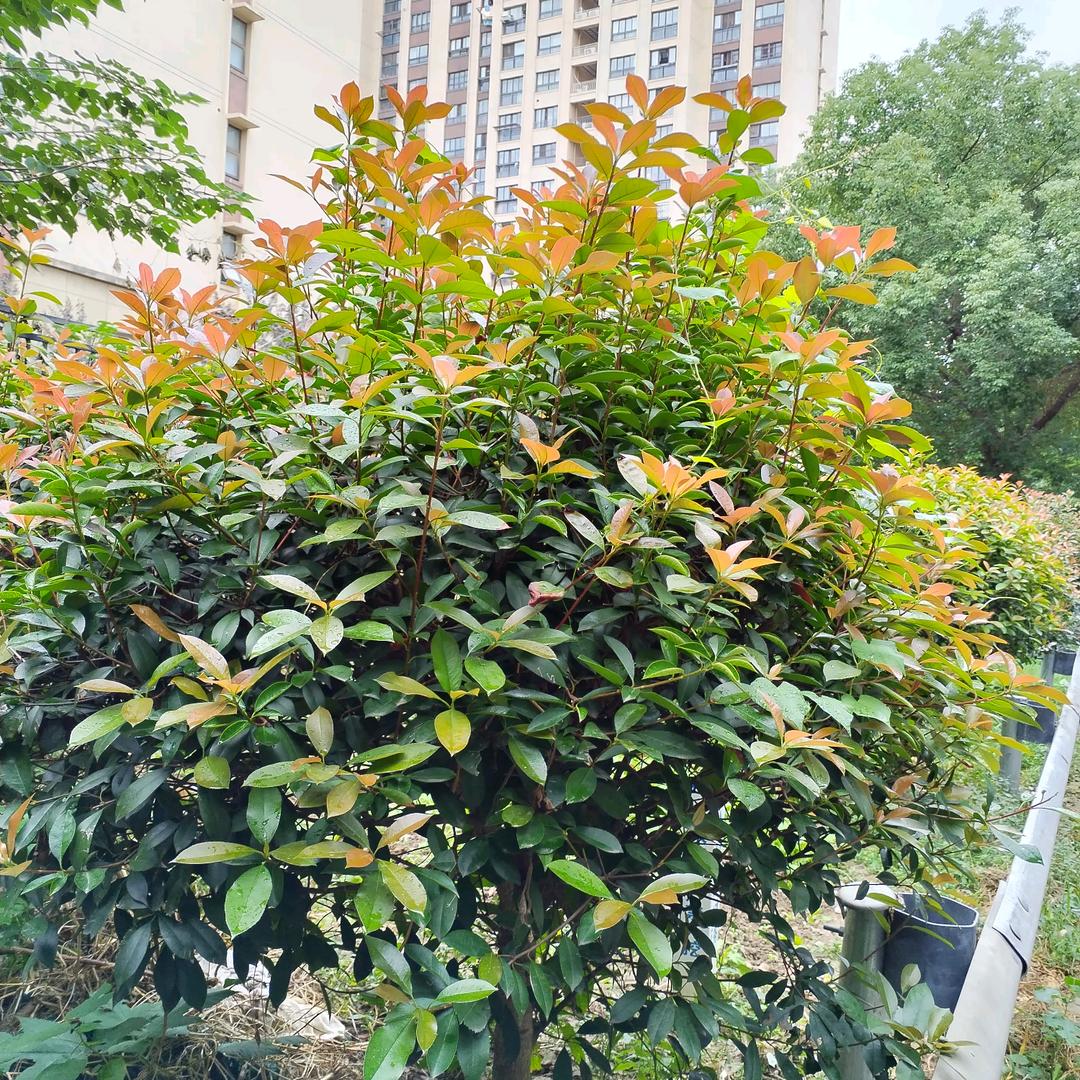 一切随缘🌷🌷