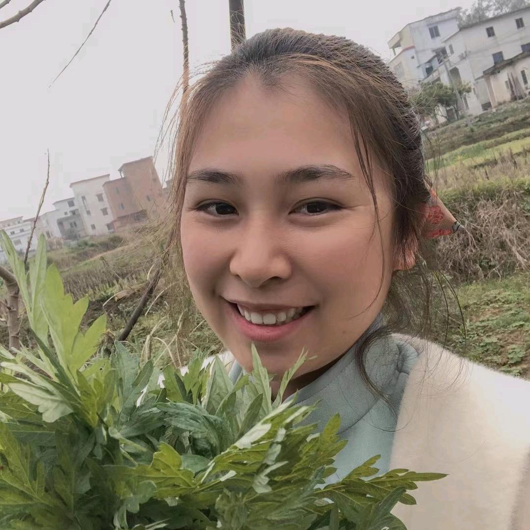 小杏-封开特产