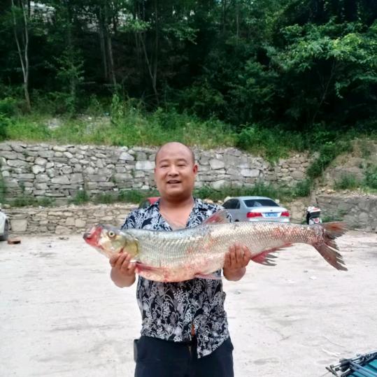 户外勇锅