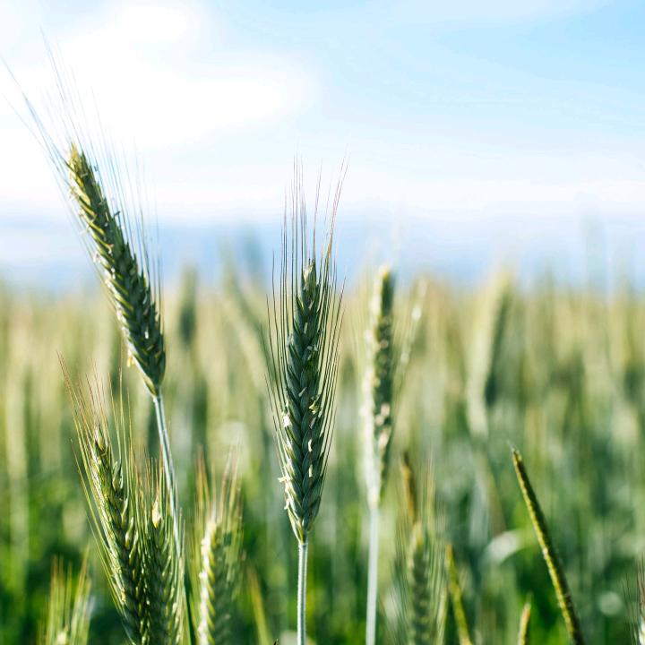 🐮⁰⁹.₂₅谢℘࿐