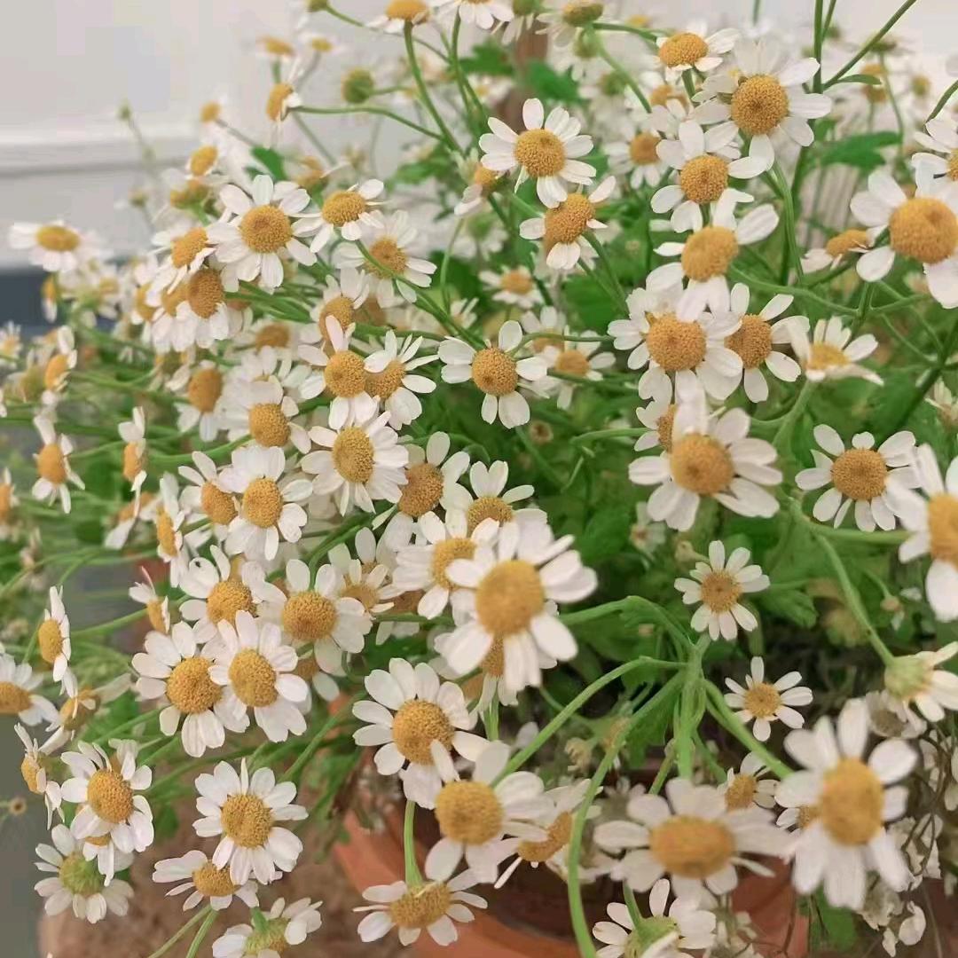 小时候