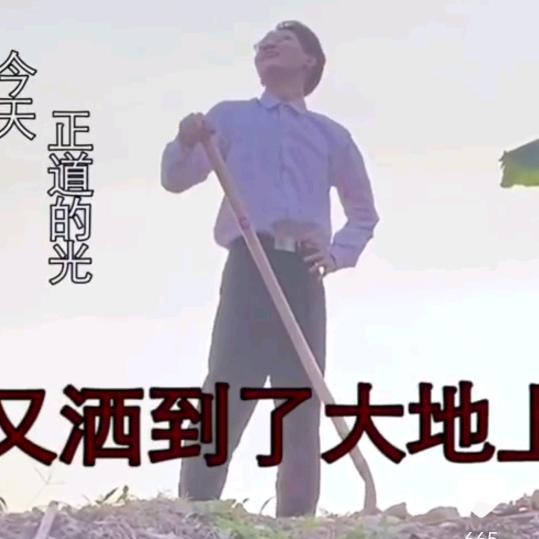 花花世界那么大