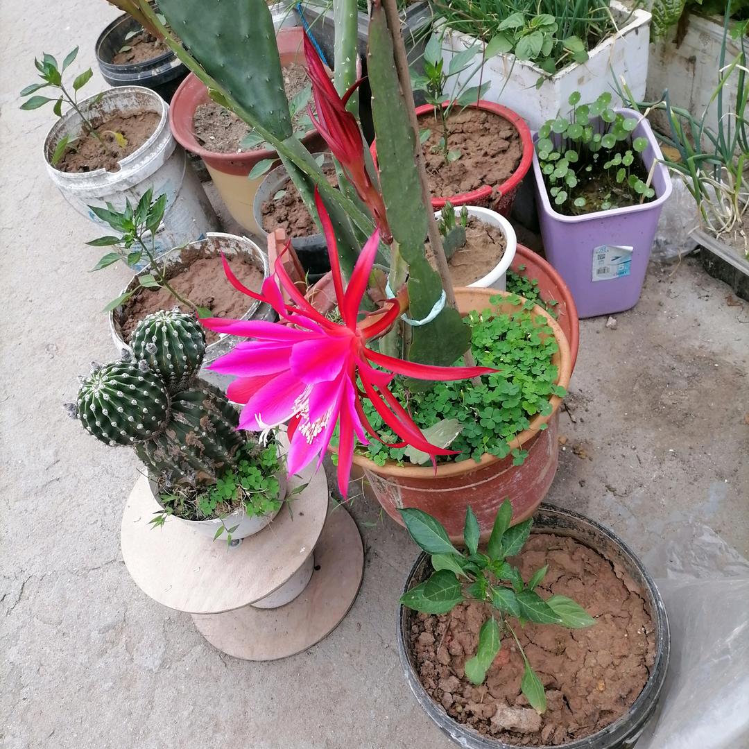 明天..