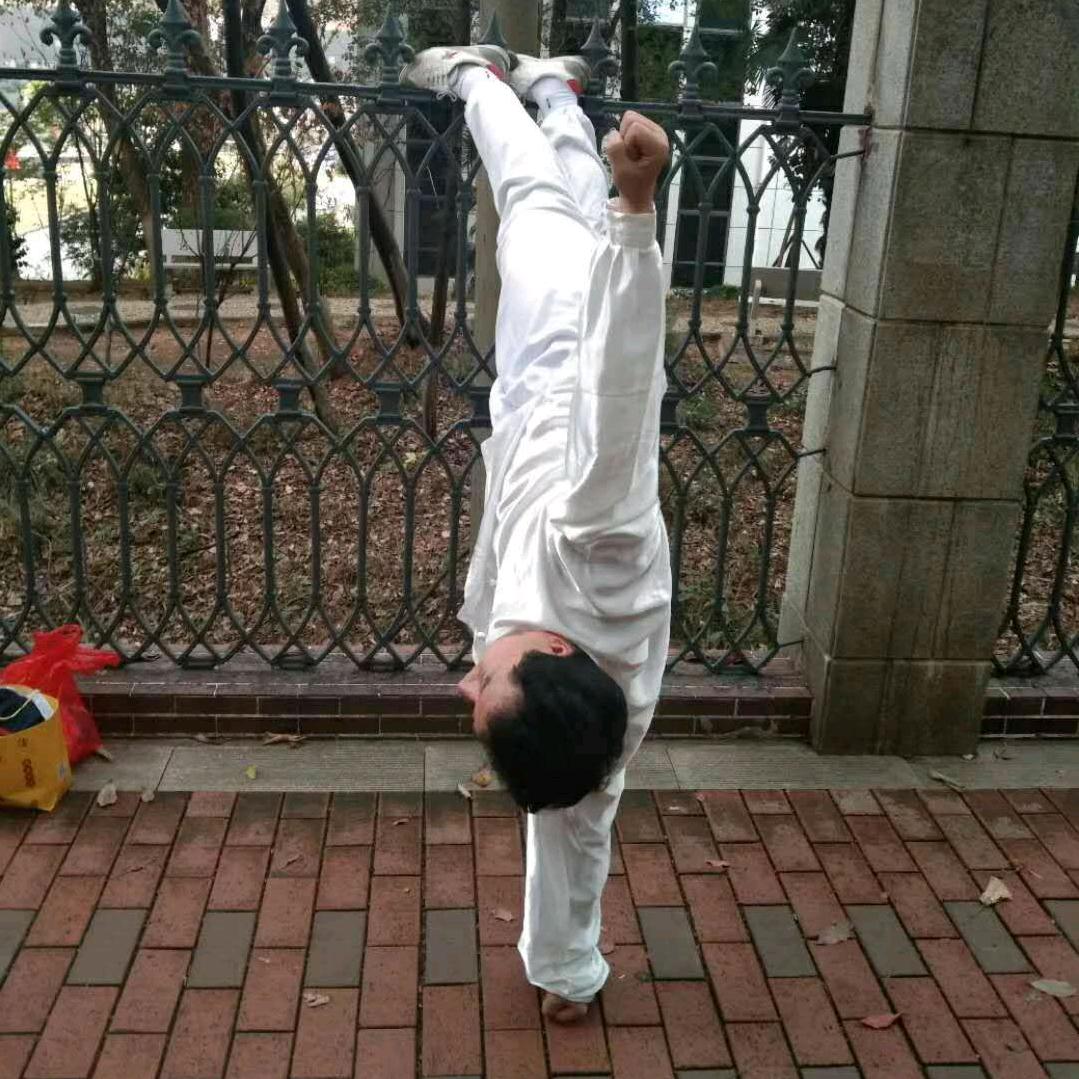 少林与太极一一高明远