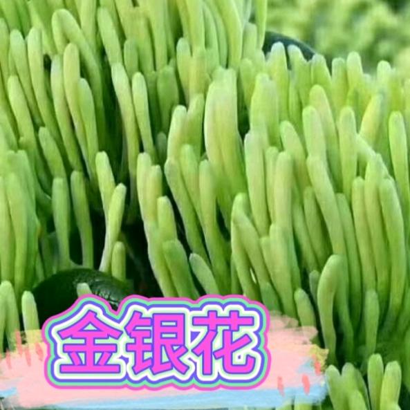 期待幸福