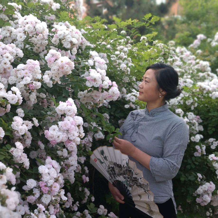 雪里一点红国画