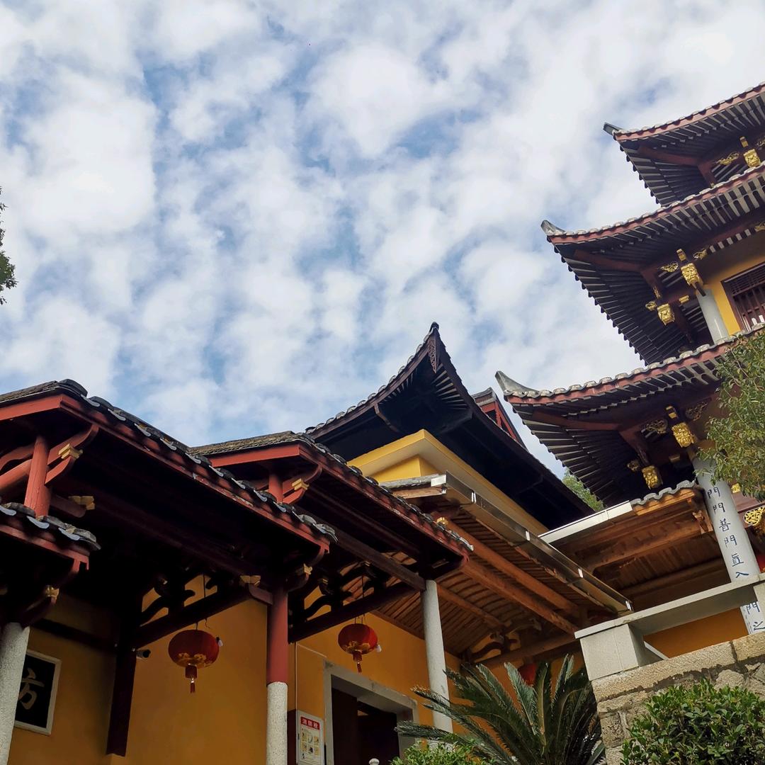 热心市民张先生