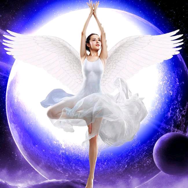 金牌私房菜(金昌文化街店)官方号