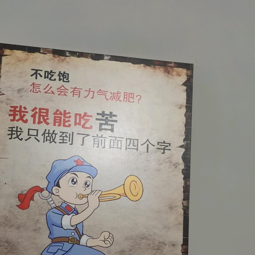 胖胖的朱先生