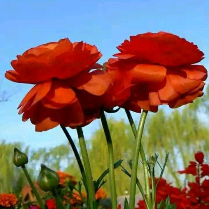 余生过好每一天💃💃🎀🎀