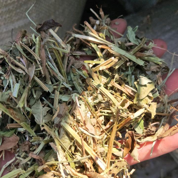 🍀🚩山河令♥🐴🌼