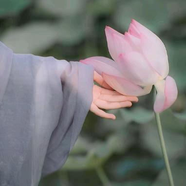 .菩提.